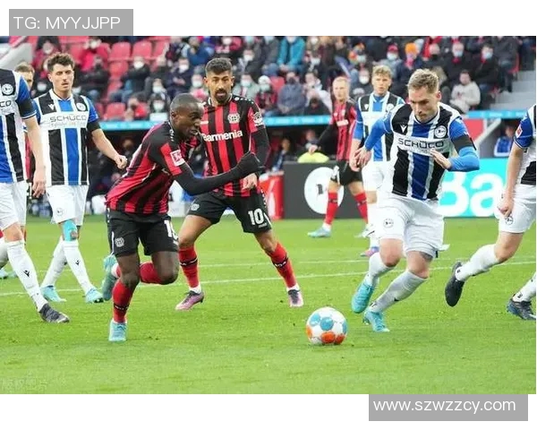 鹿特丹对维迪斯比赛时间及赛前分析全面解读